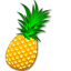 Melónový šampionát
